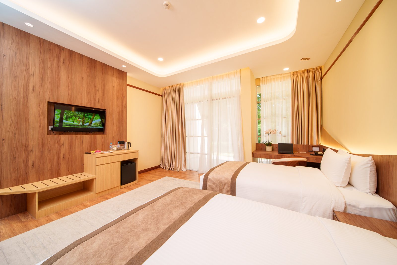 Deluxe Parkview King Room